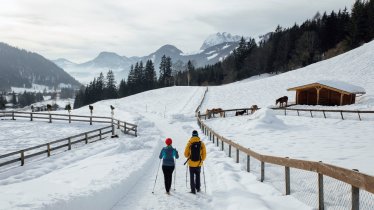 Winterwandern auf dem geräumten Römerweg