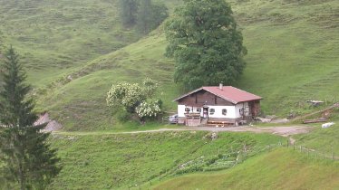 Bacheralm in den Kitzbüheler Alpen, © Irene Prugger