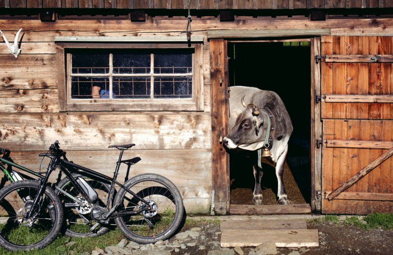 E-Biken in den Kitzbüheler Alpen