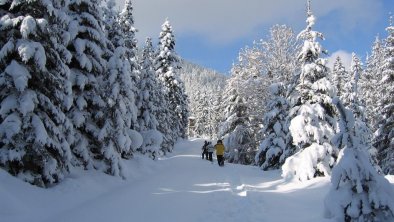 Schneeschuhwandern mit Ihrem Gastegeber