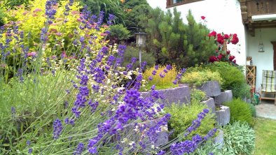 Garten vor dem Haus