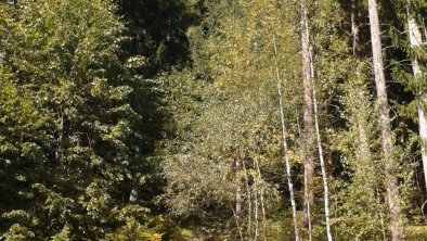 Herbst im Zillertal