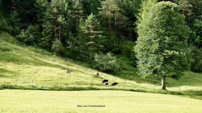 Blick vom Frühstückstisch im Sommer