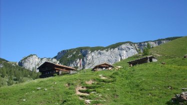 Dalfaz Alm - Sommer