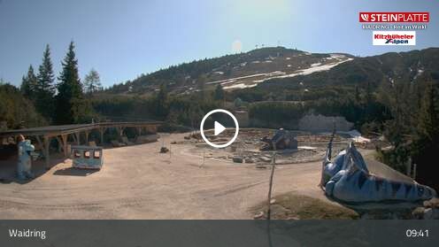 Webcam Triassic Park