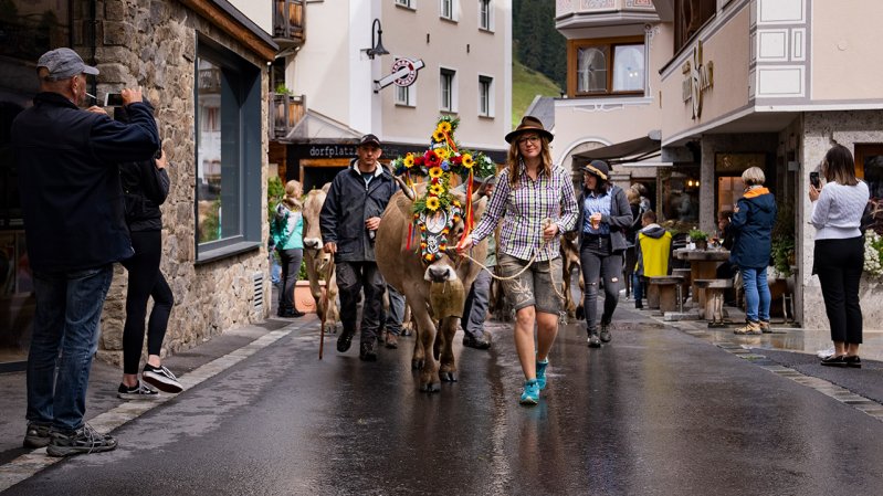 Almabtrieb im Paznaun, © TVB Paznaun - Ischgl