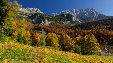 Herbststimmung003©tvbwilderkaiser (1)