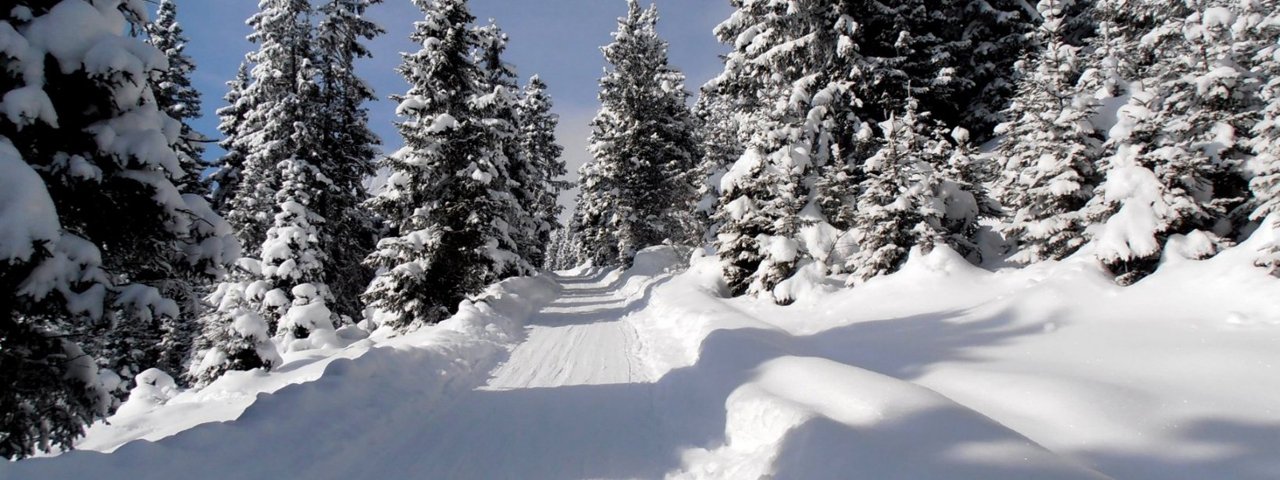 Rodelbahn Rosskogelhütte - Stiglreith, © Alfons Hörtnagl