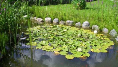 Garten, © Fam. Schranzhofer