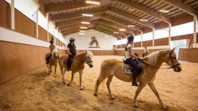 Reitunterricht für alle Stufen