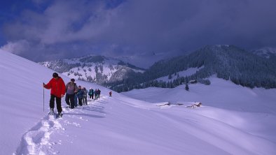Schneeschuhgruppe mit Wandberghütte