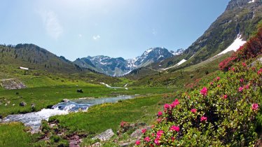 Bei der Fundusalm unterhalb des Wenderkogels, © Ötztal Tourismus / Isidor Nösig