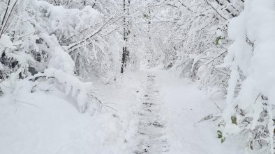 Weg tief verschneit