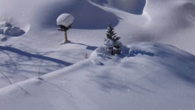 verschneiter Garten