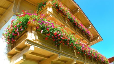 balcon-geranium-tyrol-hotel, © Pension Mirabelle