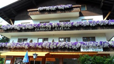 Pension Alpina Sommer