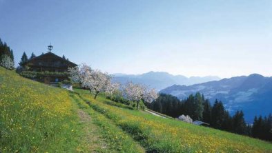 Landschaft Alpbach, © Haus Theresia