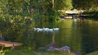 HotelZurSchanz_Garten_SchanzerTeich