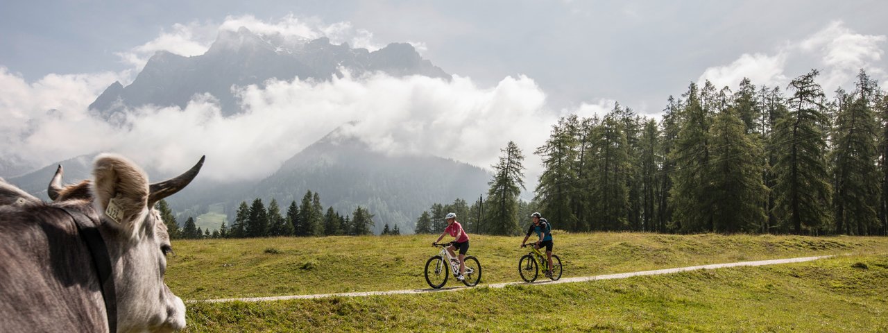 Mit dem Mountainbike zur Tuftlalm, © Zugspitz Arena Bayern-Tirol/Joe Hoelzl