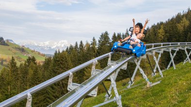Drachenflitzer Alpine Coaster Wildschönau Sommer F