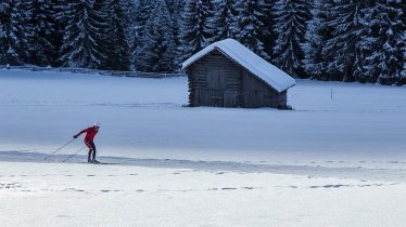 Langlaufen entlang der Blusenrunde, © TVB Osttirol