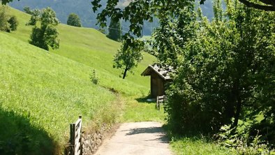 Wanderweg im Alpbachtal