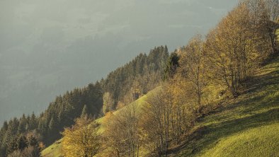 2018.11.08_gerlosstein.blick.018_web