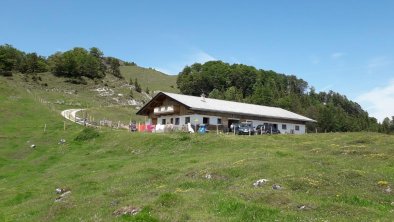 untere Scheibenbühelalm im Sommer