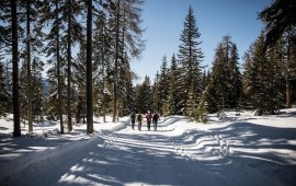 Tirolwerbung-Winderwanderung-2137