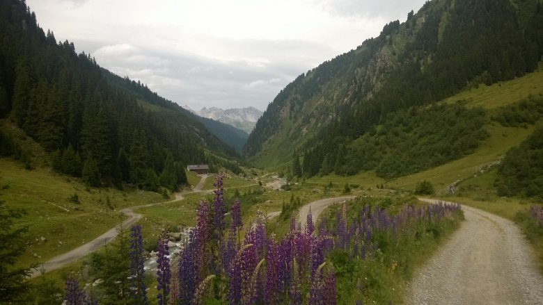 Verwalltal, hier fliegen Niggis Bienen im Sommer (Foto: Heidi Nigg)