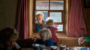 Urlaub am Bauernhof, © Tirol Werbung/Verena Kathrein