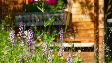 Blumenwiese mit Wildkräutern, Bienen und Orchideen, © LHN