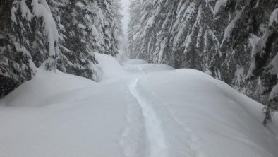 Schneeschuhwandern