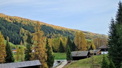 DSC01224 Herbst Obernberg_Foto Geir-web-Herbst