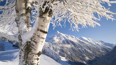 winter-landschaft-foto-paul-suerth__18_, © Archiv TVB Mayrhofen
