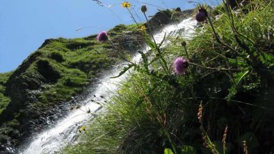 Wasserfall im Tuxertal