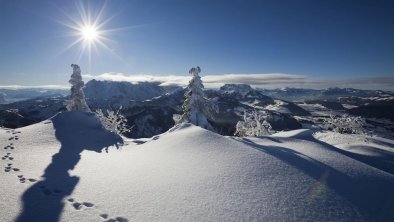 Winterpanorama vom Kaiserwinkl