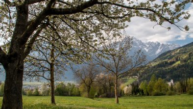 Ausblick