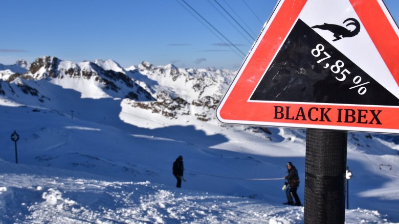 Black Ibex, © Kaunertaler Gletscher