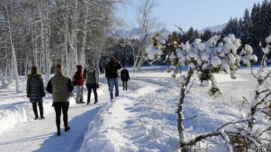 Winterwandern