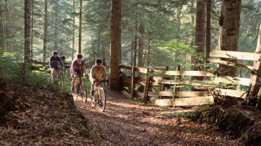 Unterwegs auf Wald-, Feld- und Almwegen: Die Bikepacking-Tour "Lakes `n`Knödel" führt unter anderem durch die Region Seefeld, © Olaf Unverzahrt / Region Seefeld