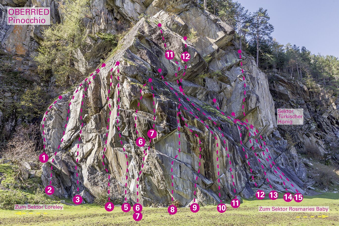 Topographie