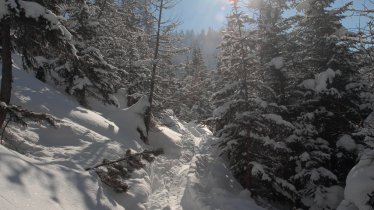 Schneeschuhwanderung Prostkogel, Kirchdorf, © Foto Athesia Tappeiner