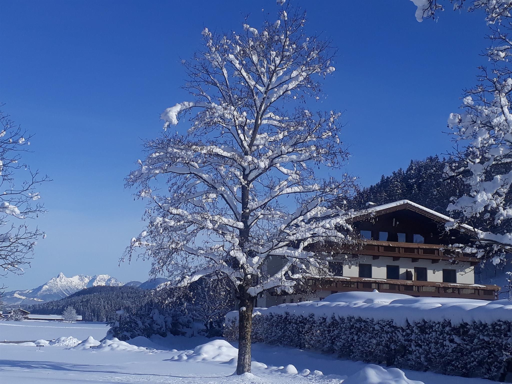 Ein schneebedecktes Landschaftsbild mit einem Baum und einem traditionellen Gebäude. Im Hintergrund sind Berge und ein klarer blauer Himmel zu sehen.