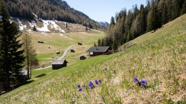 Frühling in der Pfundser Tschey, © Tirol Werbung/Marion Webhofer
