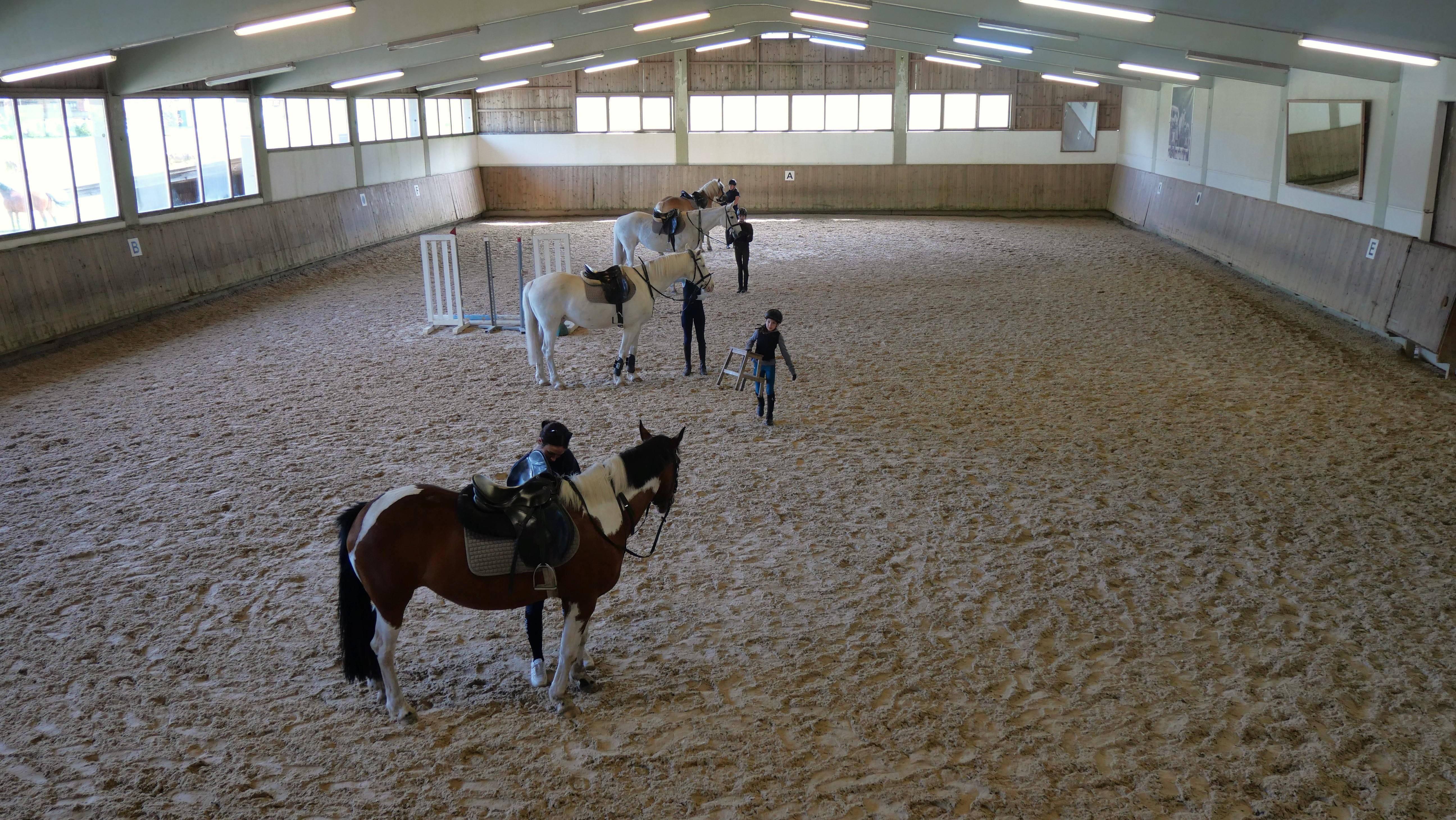 Ein Reitstall mit mehreren Reitern und Pferden auf einem sandigen Boden. Die Athleten üben in einer geräumigen Halle mit Fenstern.