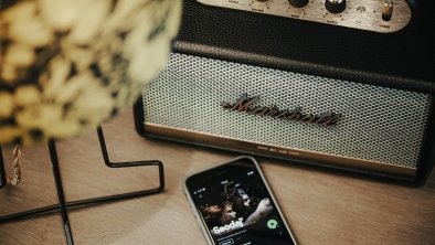 Marshall speaker