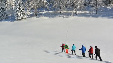Schneeschuhwanderung Obergründl in Brandenberg, © Alpbachtal Seenland