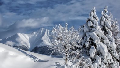 Landschaft Winter_Serfaus-Fiss-Ladis Marketing Gmb