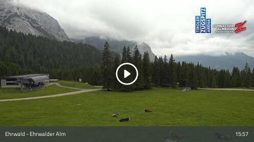 Webcam Ehrwalder Alm